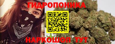 трава Моздок