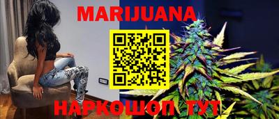 сатива Можга