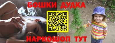 сатива Можга